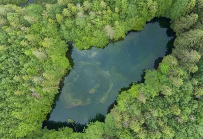 La Riserva Delle Agoraie Un Angolo Di Polo Nord In Val D Aveto